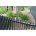 40x40 Predrilled Rail for Blade or Picket Fencing - 4.8m Length Price