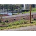 Weld Mesh Fence Arc 1800Hx2930mmW Black Fencing weldmesh Security Pet 