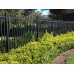 Security Fencing - Custom sizes - Spike top - Dark Grey - See description Custom