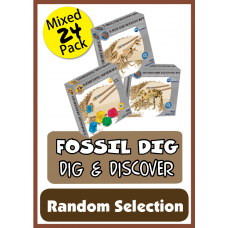 Fossil Dig - 24 Pack