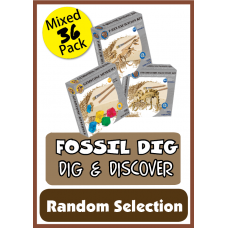 Fossil Dig - 36 Pack