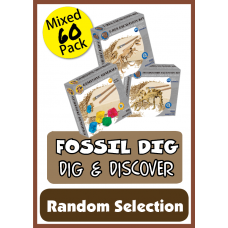Fossil Dig - 60 Pack