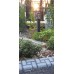 Fortune Lights for Asian Garden - Huge 1 metre tall and dual Power